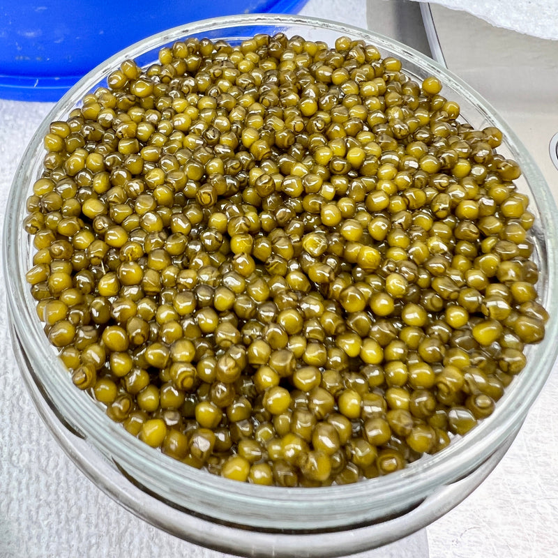 Kaluga Hybrid Sturgeon Golden Caviar