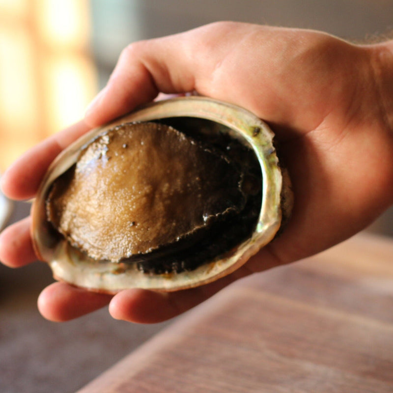 Live Abalone - Mother's Day Pre-Order