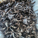 Fresh Black Trumpets - X-MAS Pre-Order