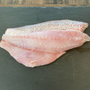 Ikejime Red Snapper - Gulf Coast