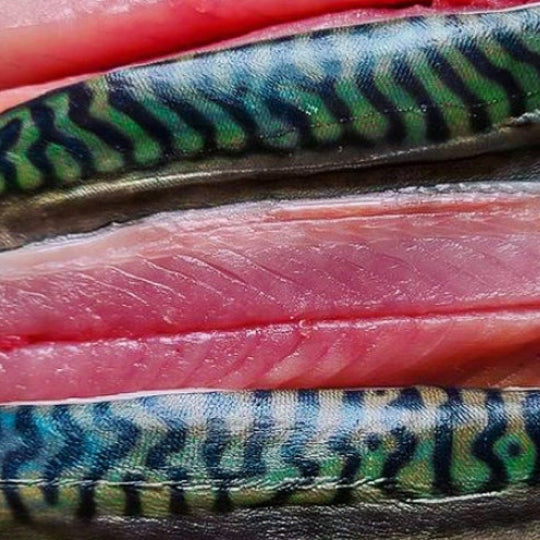 Fish (Finfish)