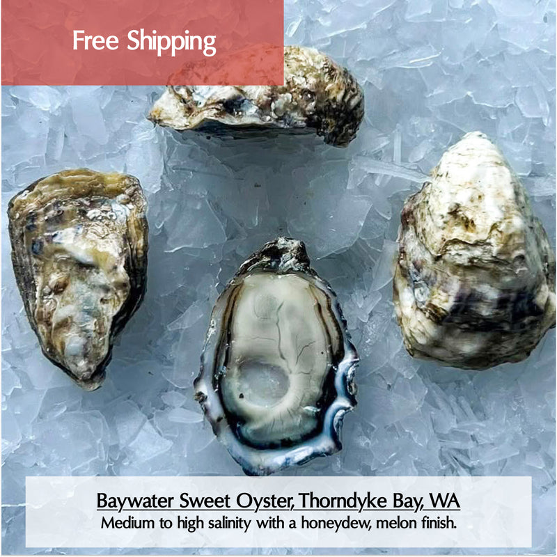 Washington Oysters