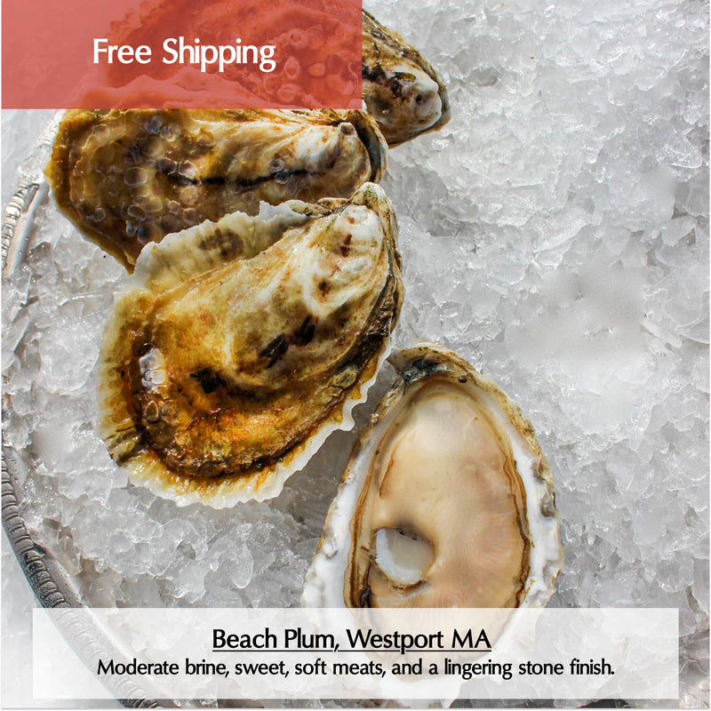 Massachusetts (Mainland) Oysters