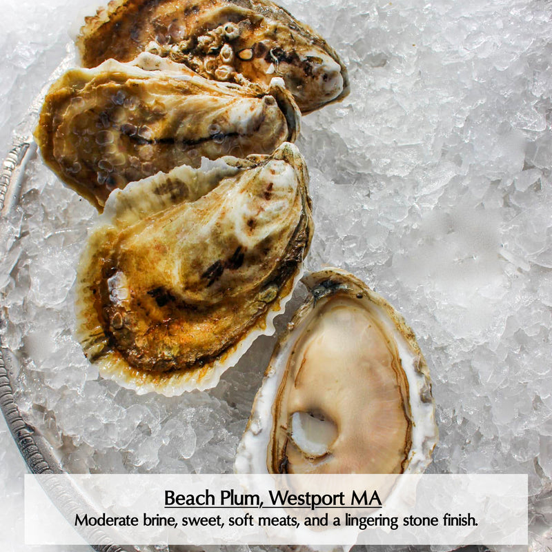 Massachusetts (Mainland) Oysters