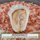 Massachusetts (Cape & Islands) Oysters