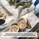 Canadian East Coast Oysters