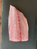 Yellowtail - Southern California