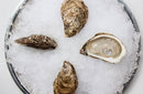Canadian East Coast Oysters