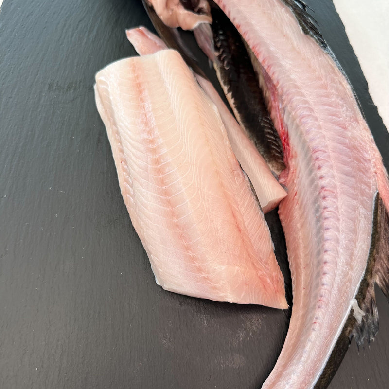 Black Cod - Labor Day Pre-Order