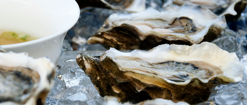 Pacific Oysters - Memorial Day Pre-Order