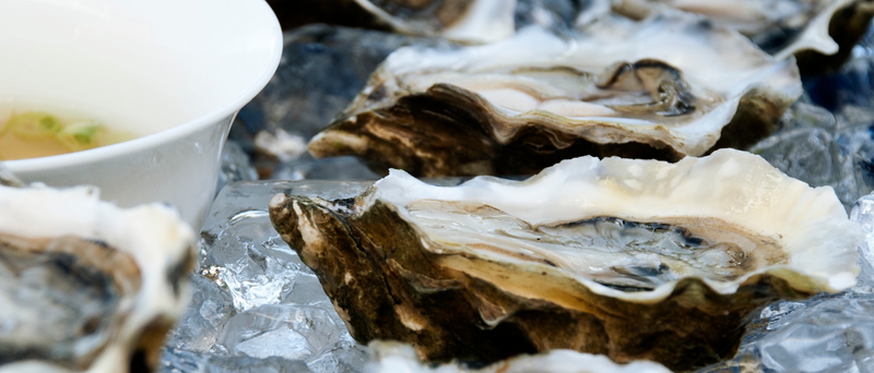 Pacific Oysters - Mother's Day Pre-Order