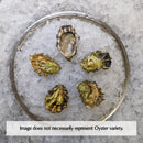 Pacific Oysters