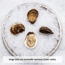Canadian East Coast Oysters