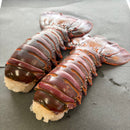 Spiny Lobster Tails - Southern California