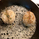 Sea Scallops - Maine
