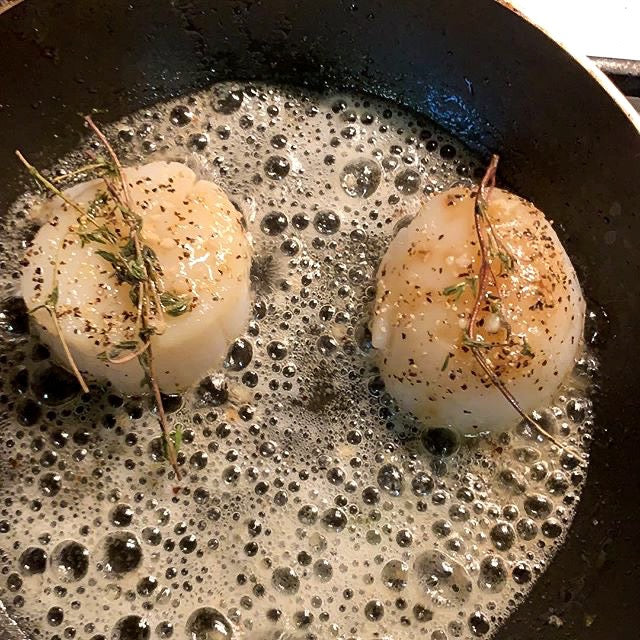 Sea Scallops - Maine