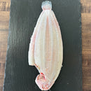 Dover Sole - Spain