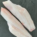 Ikejime Sheephead - Southern California