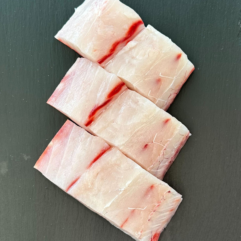 White Seabass - Southern California