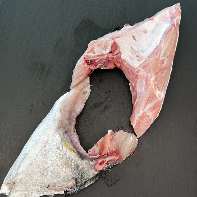 Fish Collars