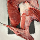 Bluefin Tuna Collar - Southern California