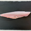 Ikejime Ocean Whitefish - Southern California