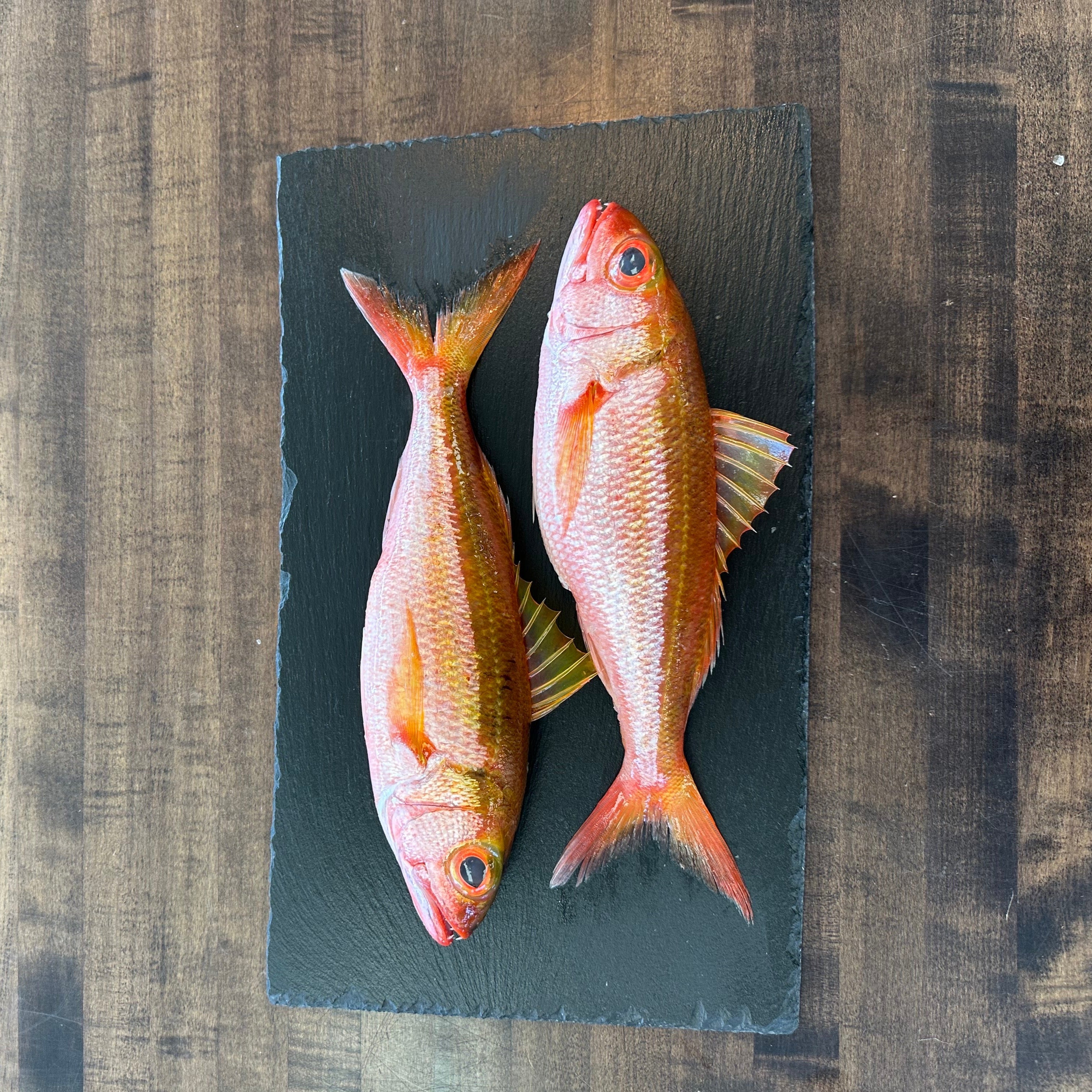 Ruby Snapper Fillet Ruby Snapper (Ehu) - Hawaii