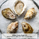 Washington Oysters