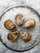 Canadian East Coast Oysters