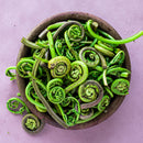 Fresh Wild Fiddleheads - USA