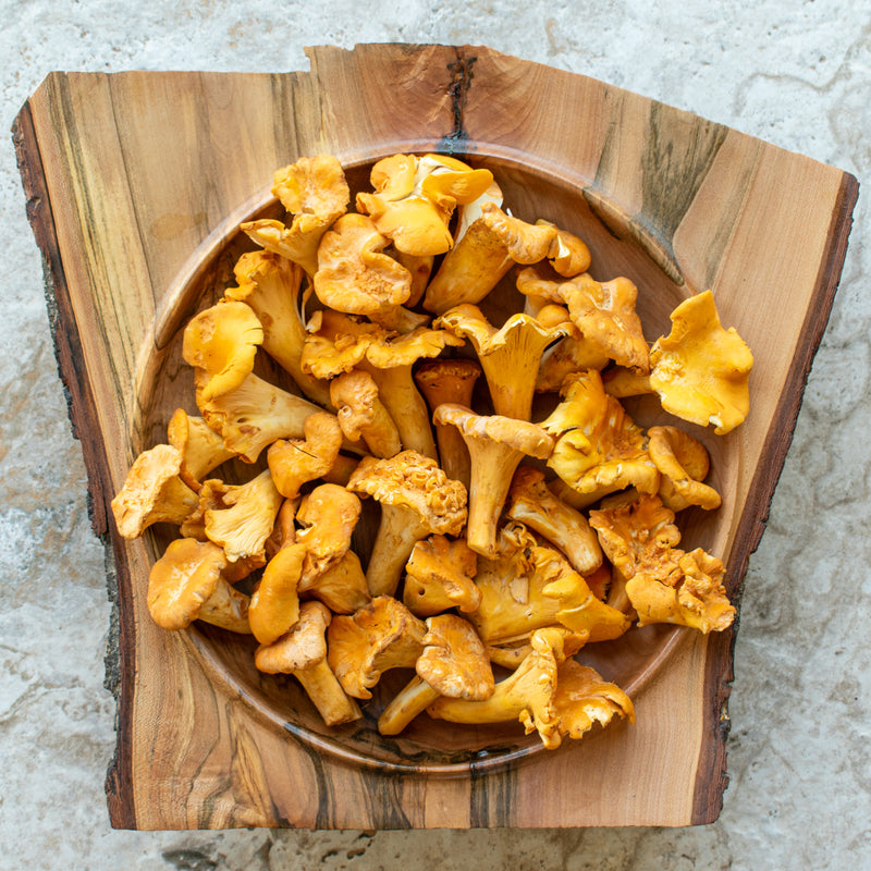 Fresh Chanterelle - Pacific Northwest