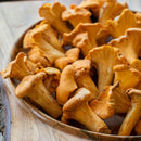 Fresh Chanterelle - Pacific Northwest