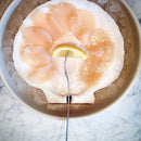 Live Sea Scallops - Massachusetts