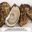 Canadian East Coast Oysters