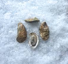 Canadian East Coast Oysters