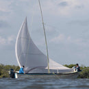 Wild Mexican Blue Shrimp