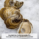 Massachusetts (Cape & Islands) Oysters