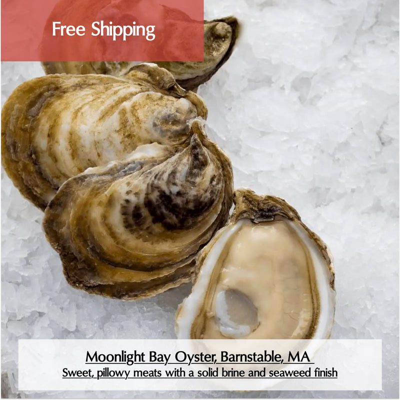 Massachusetts (Cape & Islands) Oysters