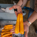 Fresh Mullet Roe - Florida