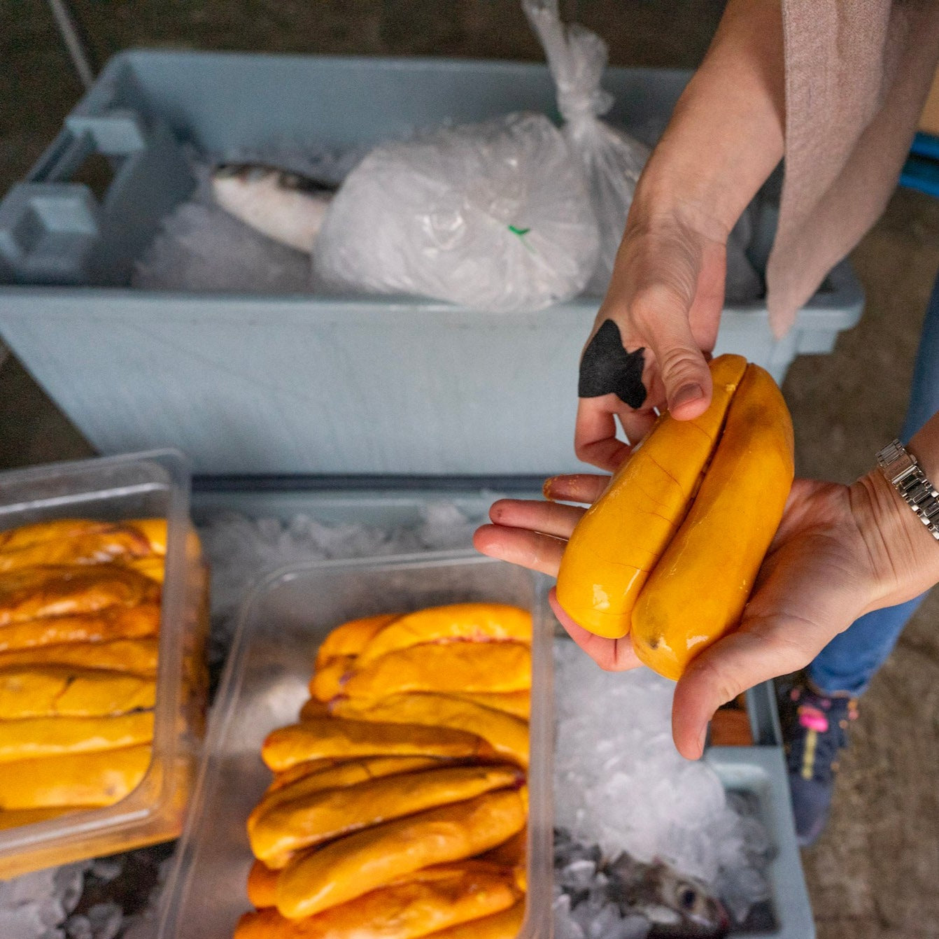 Fresh Roe Chippy Fresh Florida Mullet Roe - Buy Fresh Mullet Roe | E-Fish.com