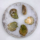 Canadian East Coast Oysters