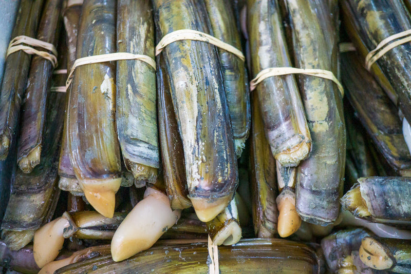 Live Razor Clams - Boston