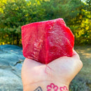 Red Tuna - Bala's Choice