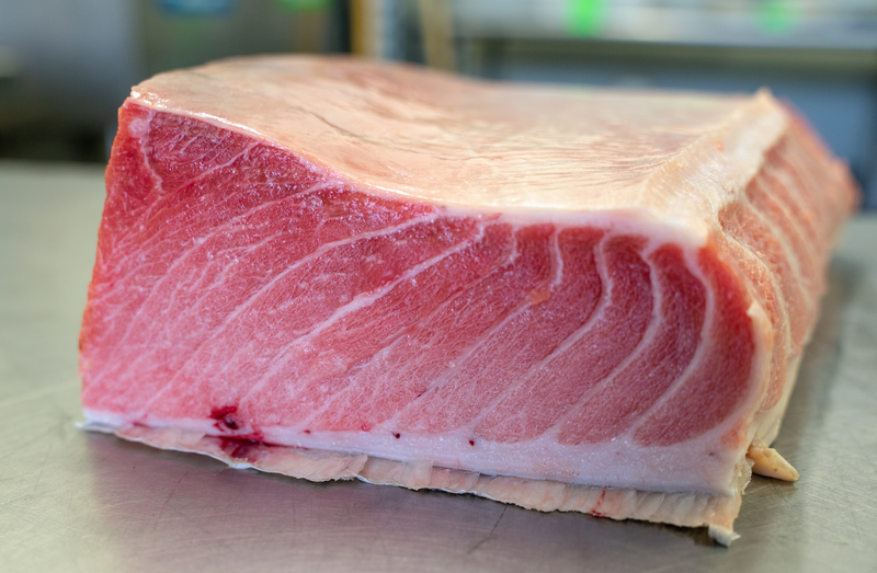 Bluefin Tuna - Northern California