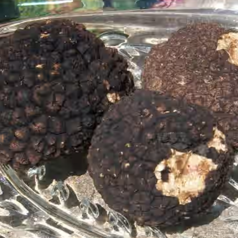 Fresh Burgundy Truffles - France