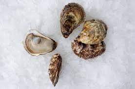 Canadian East Coast Oysters