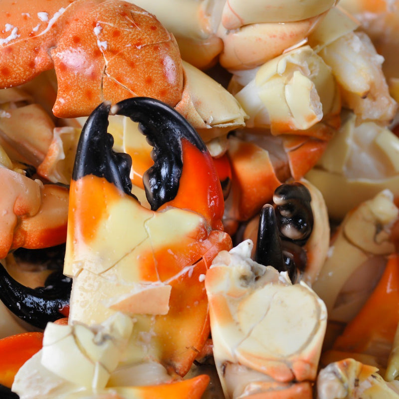 Stone Crab Claws - Thanksgiving Pre-Order