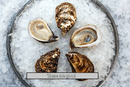 South Coast Oysters (MA & RI)
