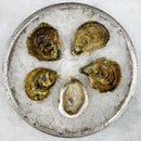 Canadian East Coast Oysters