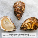 Canadian East Coast Oysters